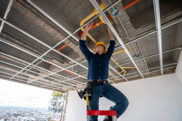 Best Emergency Plumber  in Walnut Grove, GA